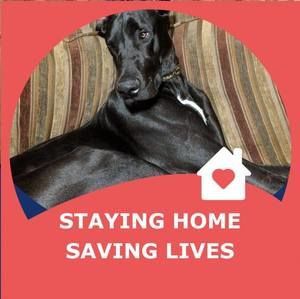 Meet your Posher, Cc